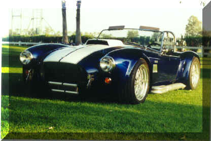 cobra#4.jpg (307934 bytes)